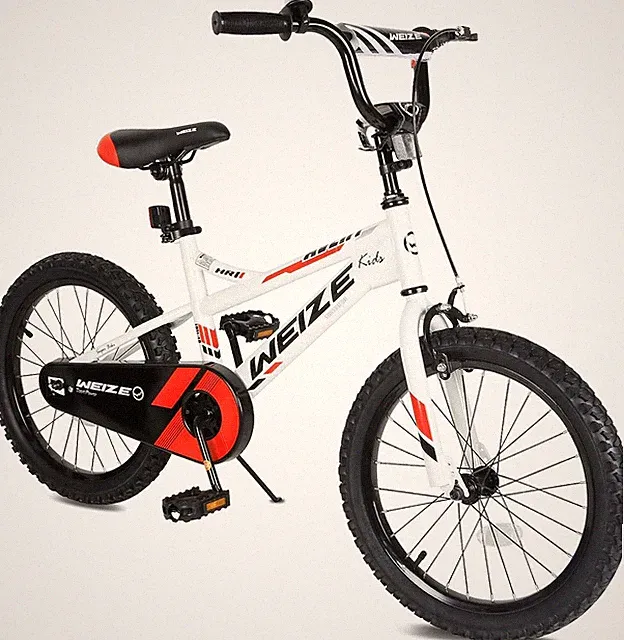 20 Inch Children Bicycle for Boys Girls Ages 6-12 Years Old with Training Wheels