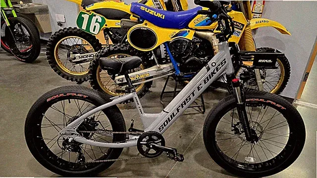 Electric Bike 750W 48V Ebike SOULFAST 24" SOUL LOW SHARK GREY / BLACK