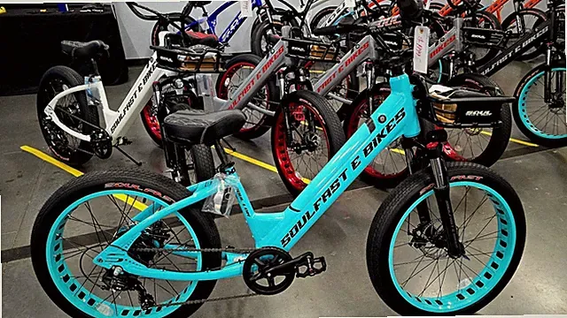 Teal 24" SOUL LOW Electric Bike 750W 48V Ebike SOULFAST