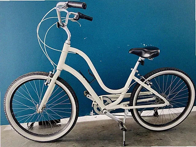 Lifetime Cruiser